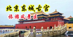 抠逼日逼看黄片中国北京-东城古宫旅游风景区